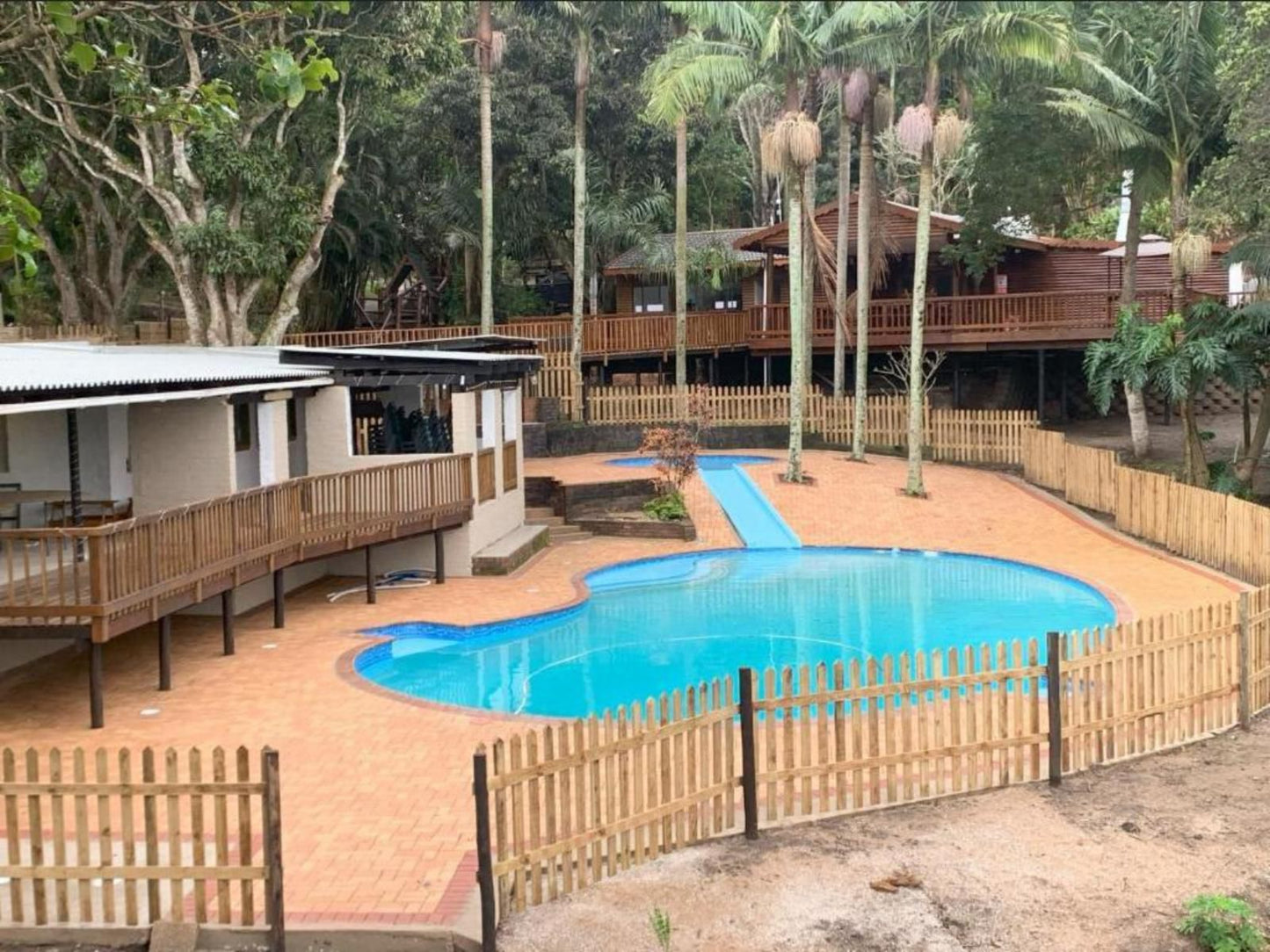 Anerley Garden Park Resort, Palm Tree, Plant, Nature, Wood, Swimming Pool