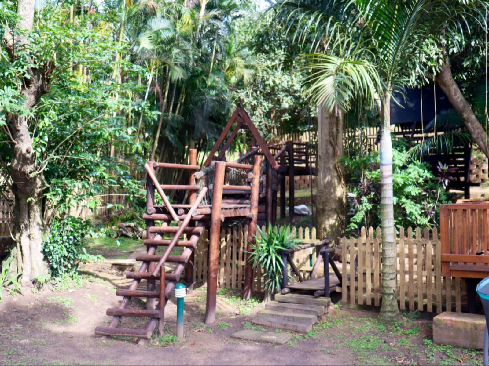 Anerley Garden Park Resort, Palm Tree, Plant, Nature, Wood, Garden