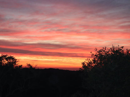 Anerley Garden Park Resort, Sky, Nature, Sunset