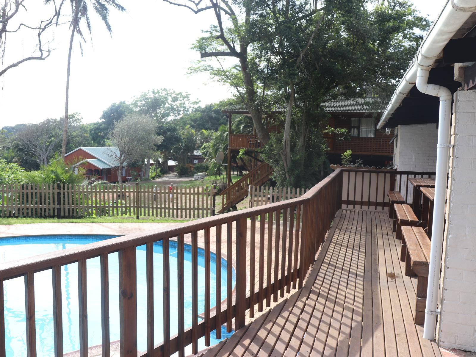 Anerley Garden Park Resort, Palm Tree, Plant, Nature, Wood, Swimming Pool