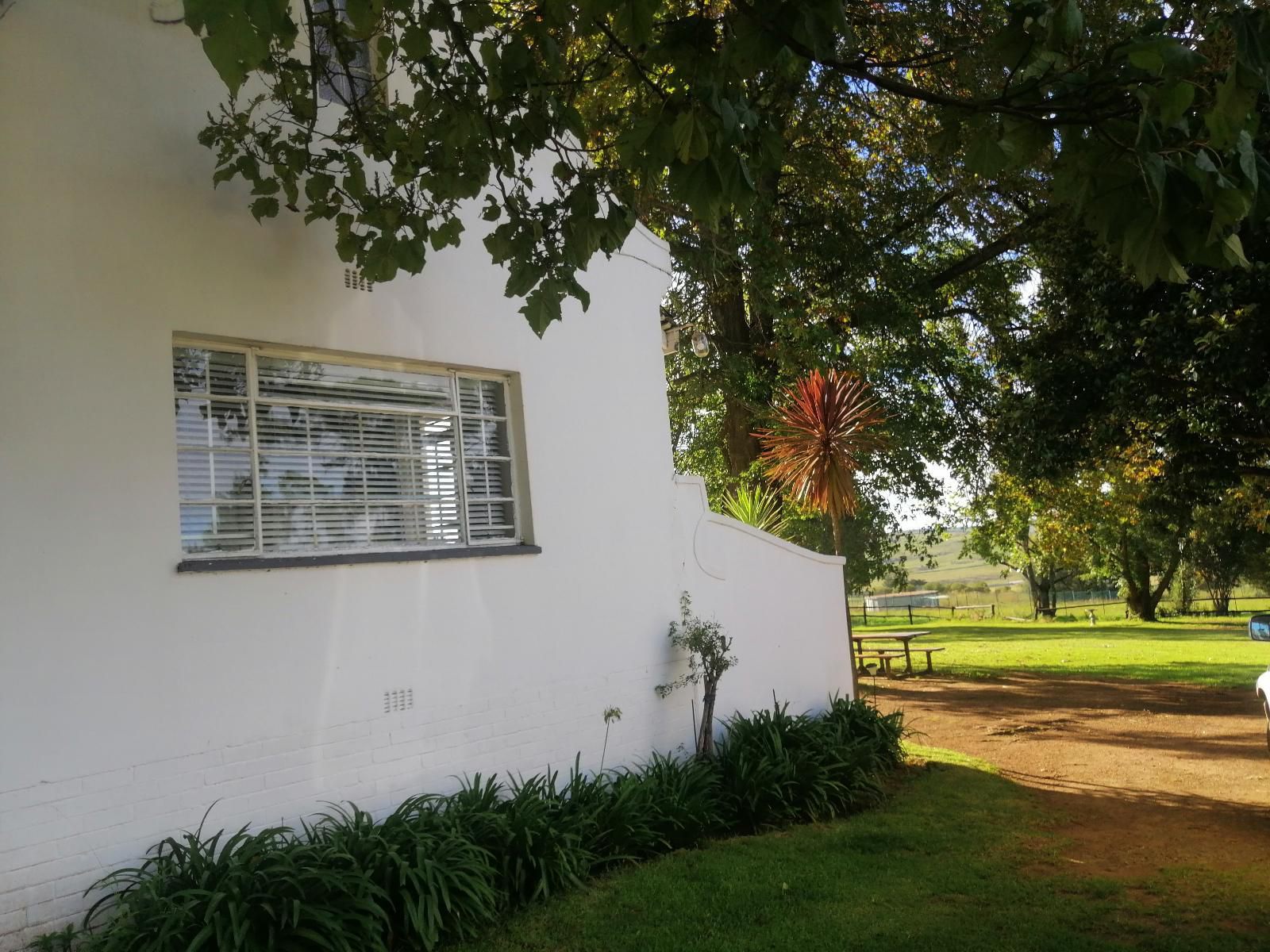 Anford Country House Machadodorp Mpumalanga South Africa House, Building, Architecture, Palm Tree, Plant, Nature, Wood