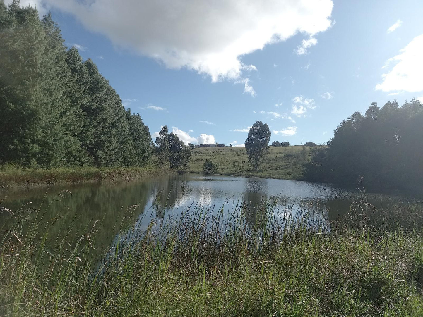 Anford Country House Machadodorp Mpumalanga South Africa River, Nature, Waters, Tree, Plant, Wood