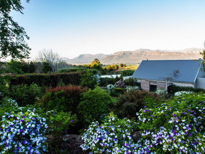 Angala Boutique Hotel Pniel Western Cape South Africa Plant, Nature, Garden