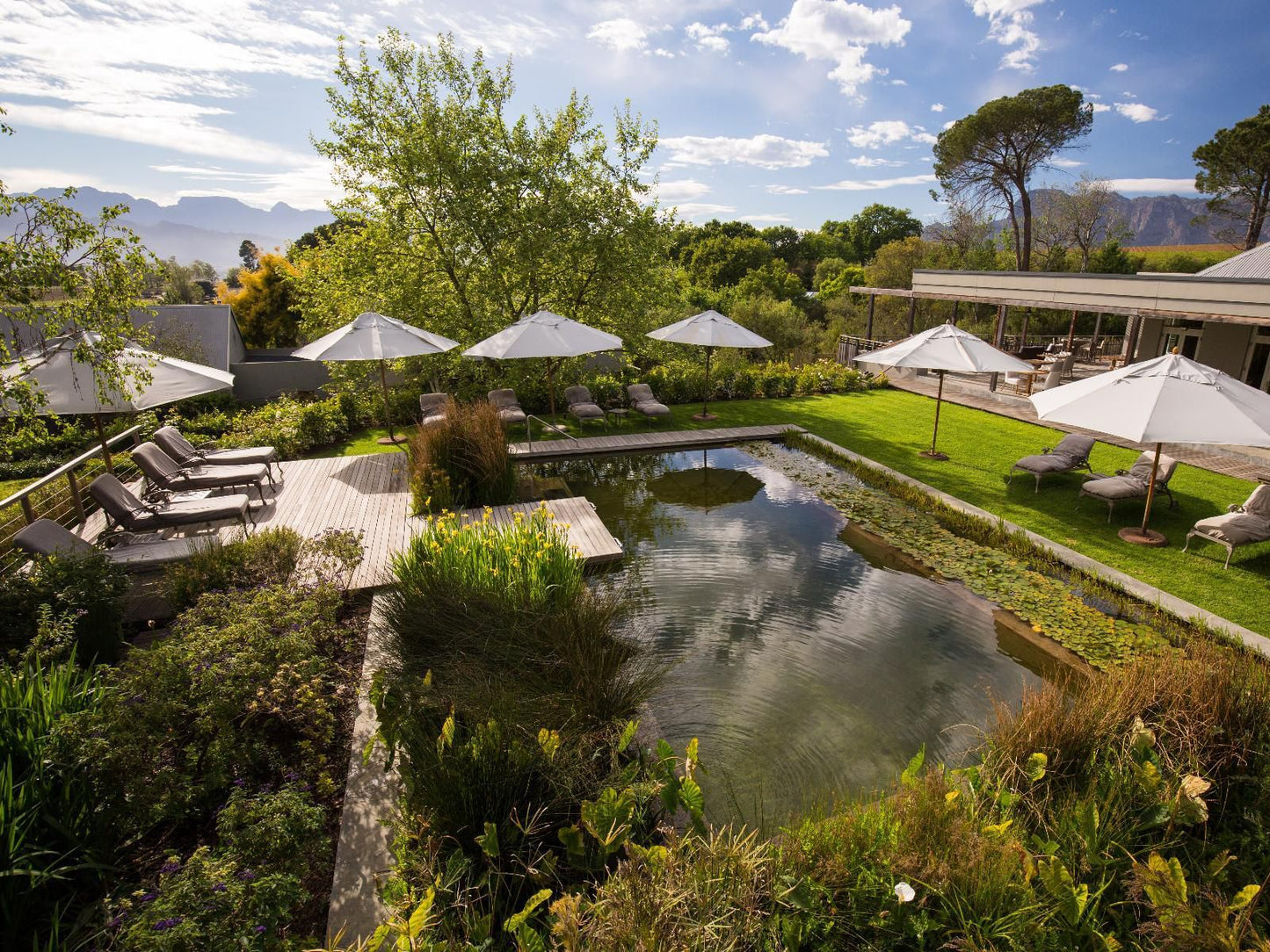 Angala Boutique Hotel Pniel Western Cape South Africa Garden, Nature, Plant, Swimming Pool