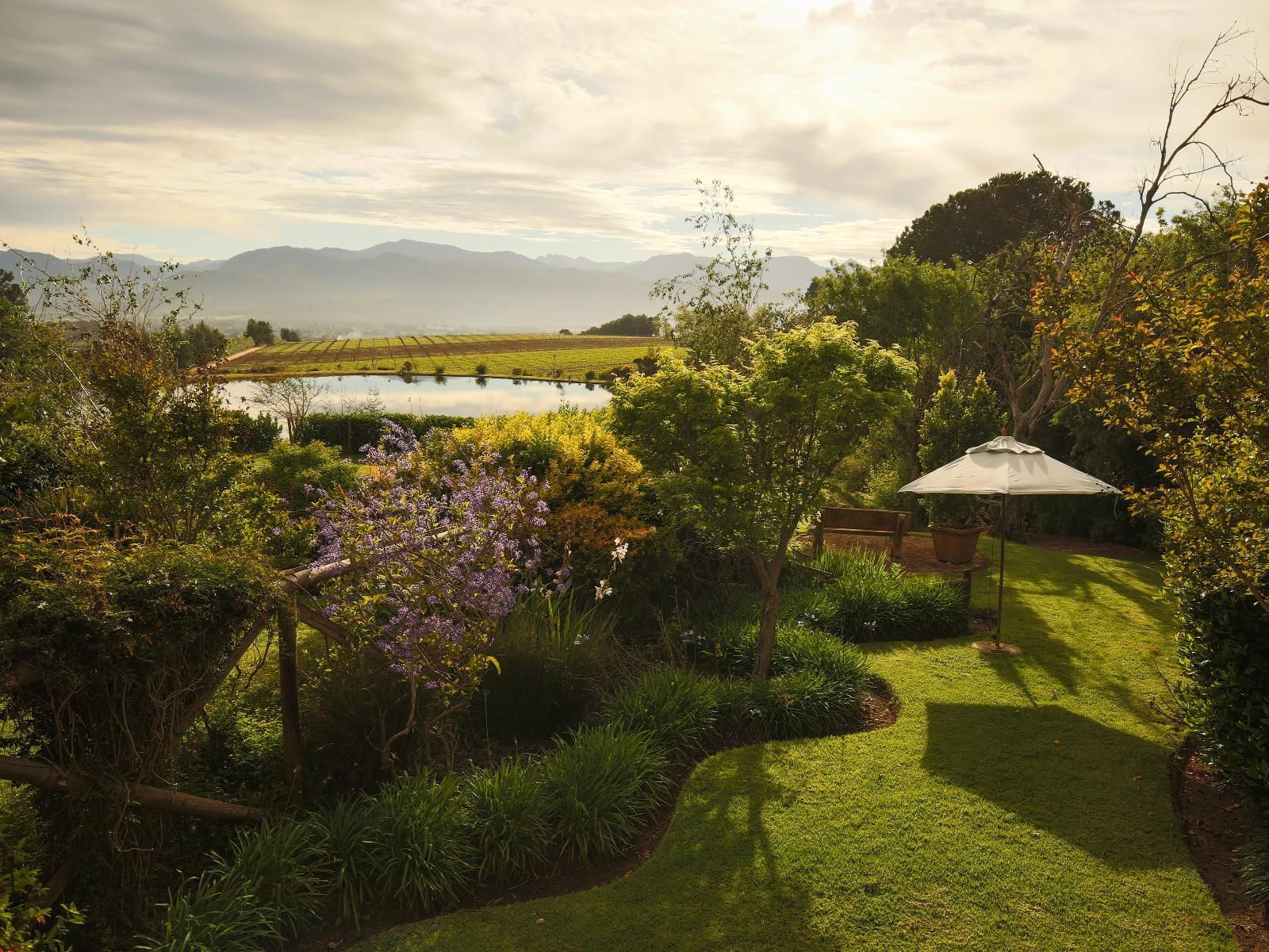 Angala Boutique Hotel Pniel Western Cape South Africa Sepia Tones, Plant, Nature, Garden