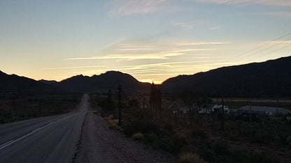 Angeliersbosch Guest House Prince Albert Western Cape South Africa Cactus, Plant, Nature, Desert, Sand, Street, Sunset, Sky