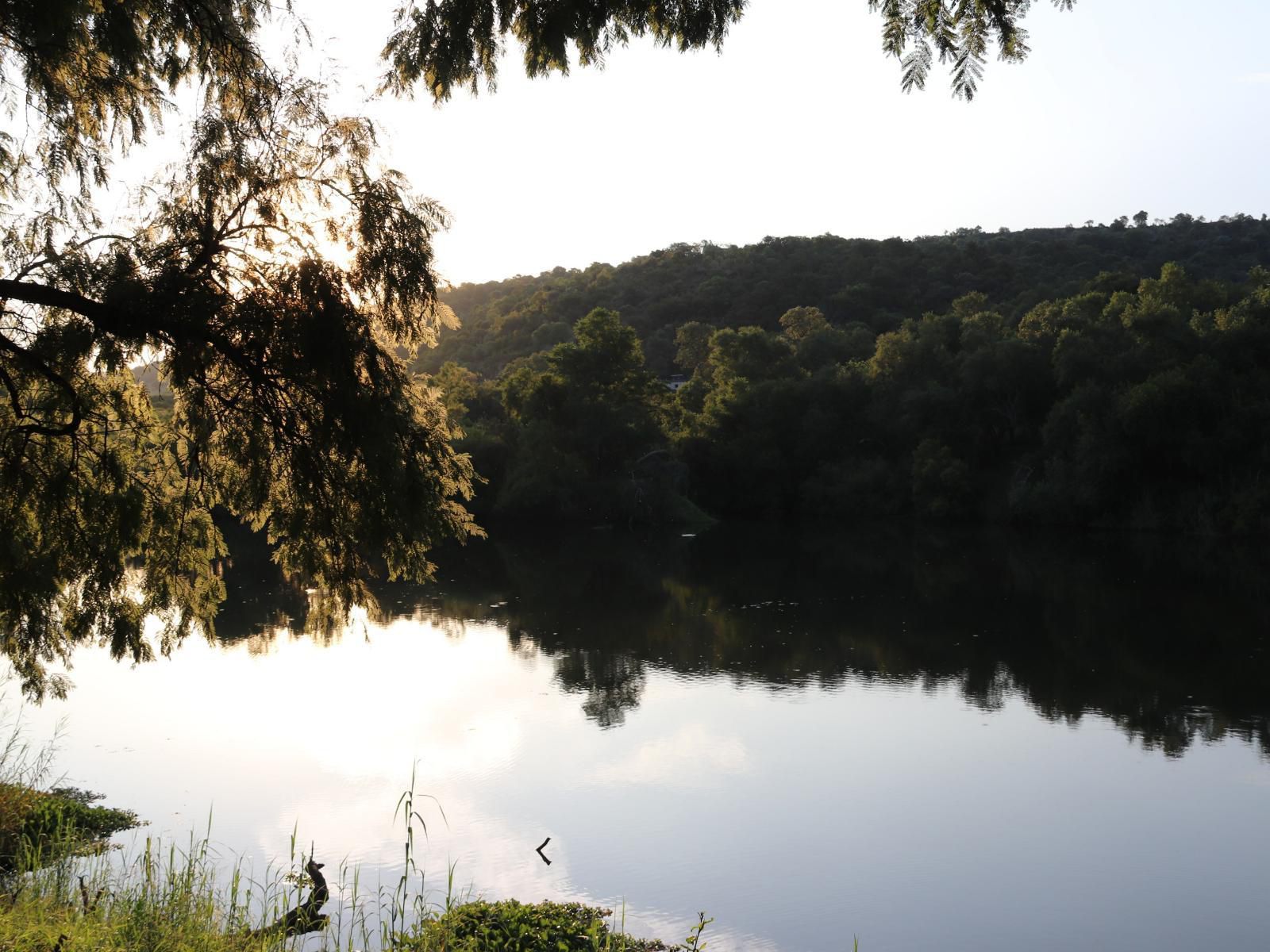 Angels Valley River Lodge, Forest, Nature, Plant, Tree, Wood, Lake, Waters, River