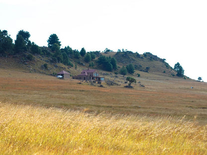 Angel S Rest Dullstroom Country Estate Dullstroom Mpumalanga South Africa Field, Nature, Agriculture