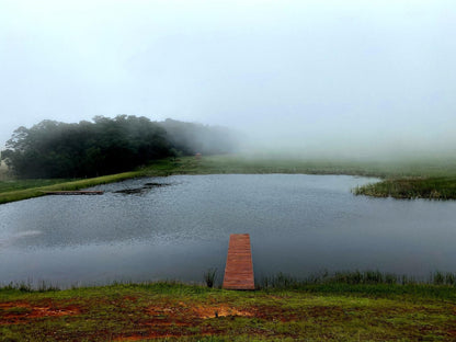 Angel S Rest Dullstroom Country Estate Dullstroom Mpumalanga South Africa Fog, Nature, Tree, Plant, Wood