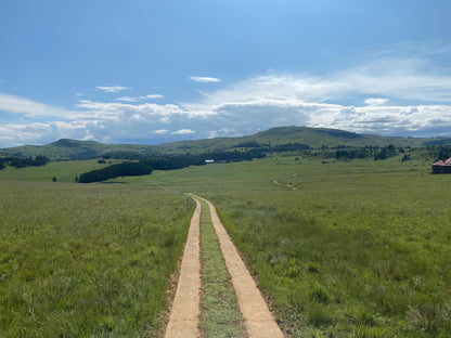 Angel S Rest Dullstroom Country Estate Dullstroom Mpumalanga South Africa Complementary Colors, Field, Nature, Agriculture, Highland