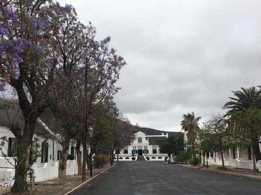 Angora Rest Graaff Reinet Eastern Cape South Africa Unsaturated, House, Building, Architecture, Palm Tree, Plant, Nature, Wood, Window