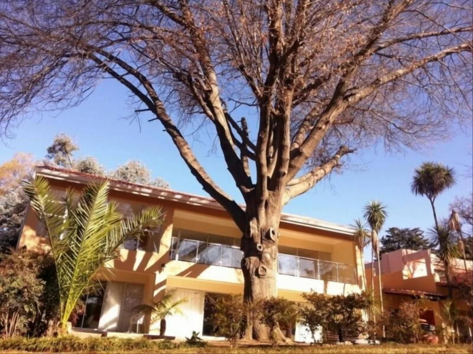 Anka Lodge Atholl Johannesburg Gauteng South Africa Complementary Colors, House, Building, Architecture, Palm Tree, Plant, Nature, Wood