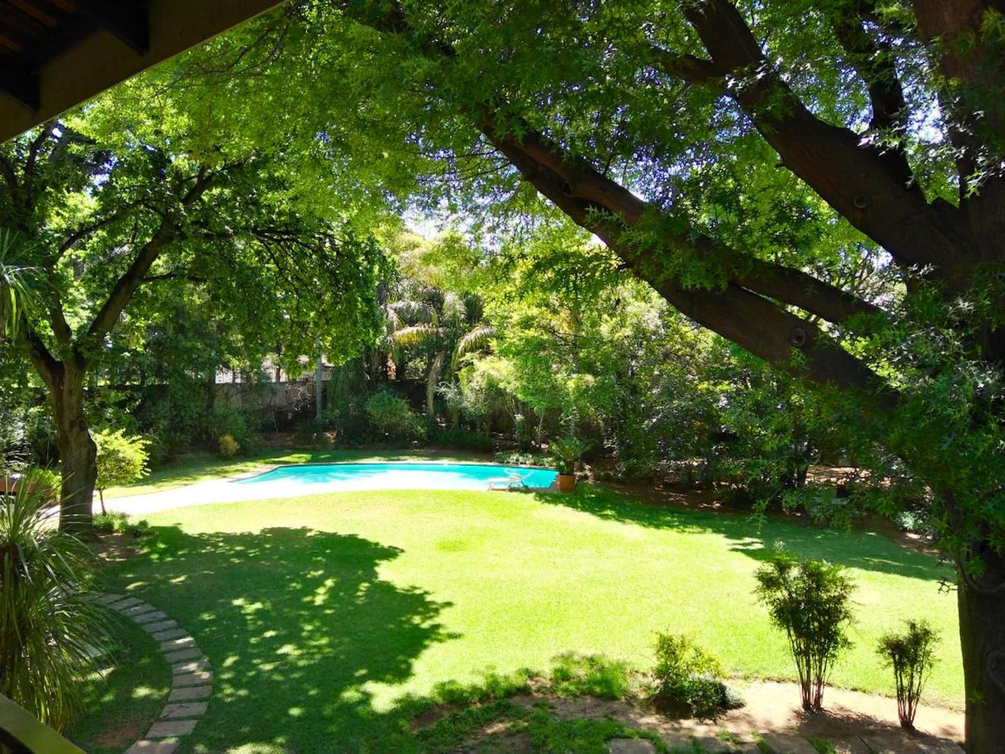 Anka Lodge Atholl Johannesburg Gauteng South Africa Plant, Nature, Garden, Swimming Pool