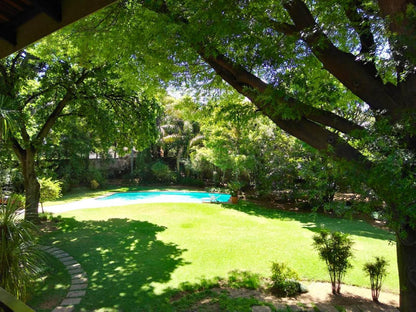 Anka Lodge Atholl Johannesburg Gauteng South Africa Plant, Nature, Garden, Swimming Pool