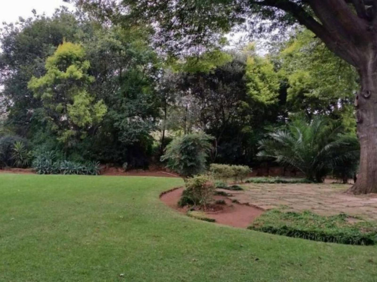 Anka Lodge Atholl Johannesburg Gauteng South Africa Plant, Nature, Garden