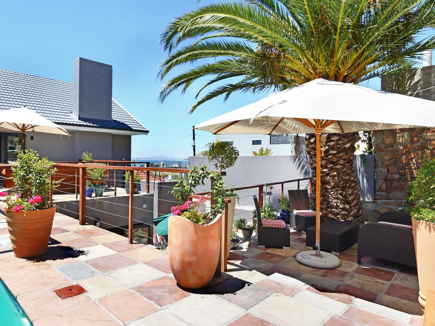 Ankerview Guest House Green Point Cape Town Western Cape South Africa Complementary Colors, House, Building, Architecture, Palm Tree, Plant, Nature, Wood