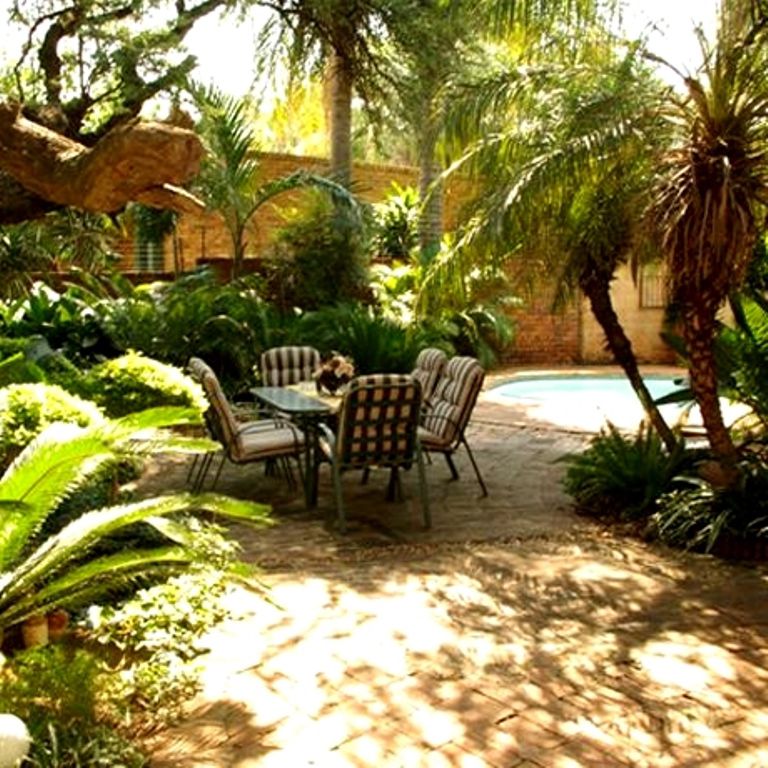 Anlou Guest House Mokopane Potgietersrus Limpopo Province South Africa Palm Tree, Plant, Nature, Wood, Garden