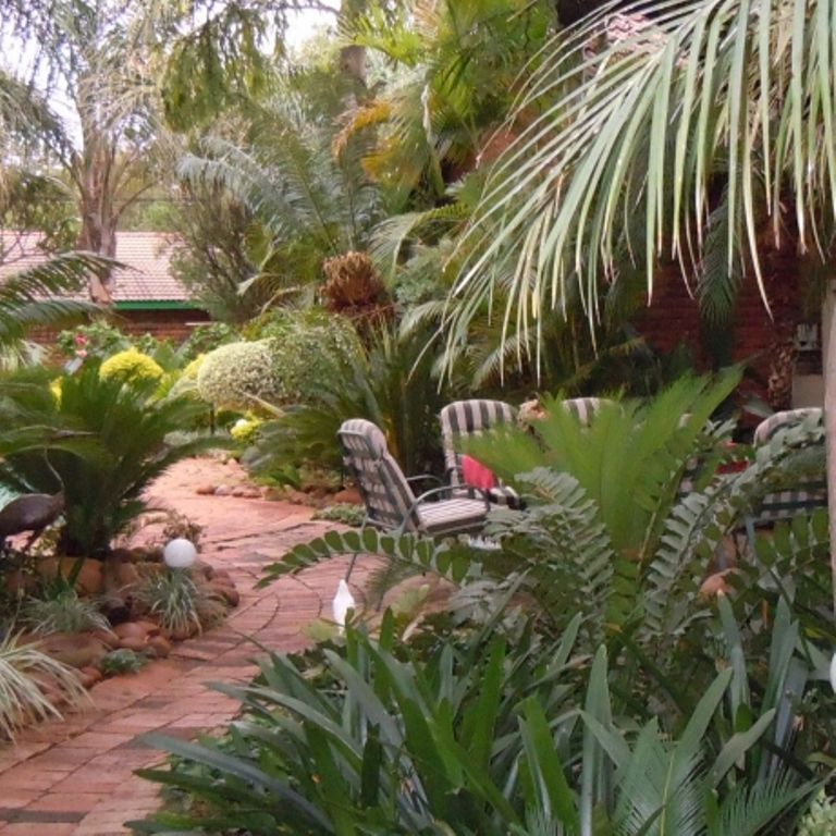 Anlou Guest House Mokopane Potgietersrus Limpopo Province South Africa Palm Tree, Plant, Nature, Wood, Garden