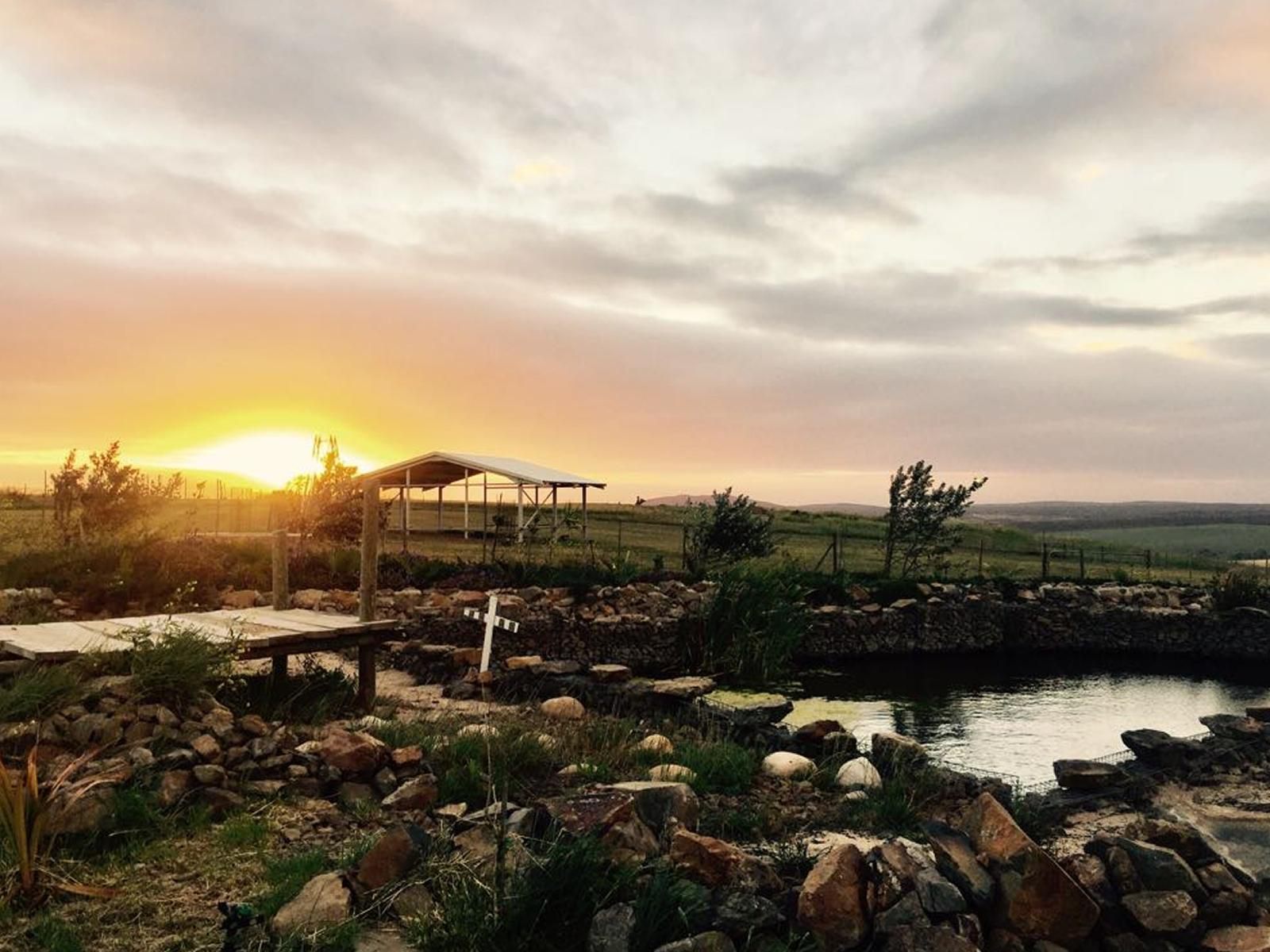 Anna Beulah Farm Cape Farms Cape Town Western Cape South Africa Sky, Nature, Sunset