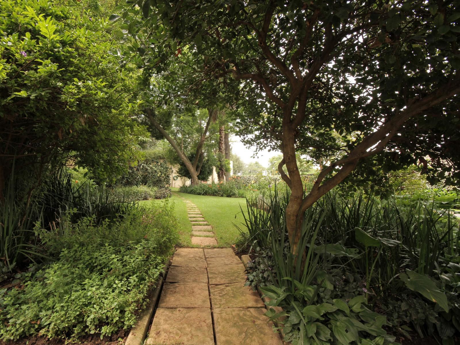 Annabel S Of Bryanston Boutique Guest House Country Life Park Johannesburg Gauteng South Africa Plant, Nature, Garden