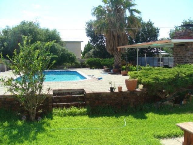 Annamarie S Guesthouse De Aar Northern Cape South Africa Palm Tree, Plant, Nature, Wood, Garden, Swimming Pool