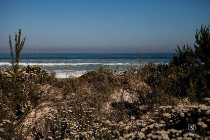 Anne S Place Bettys Bay Western Cape South Africa Beach, Nature, Sand, Ocean, Waters