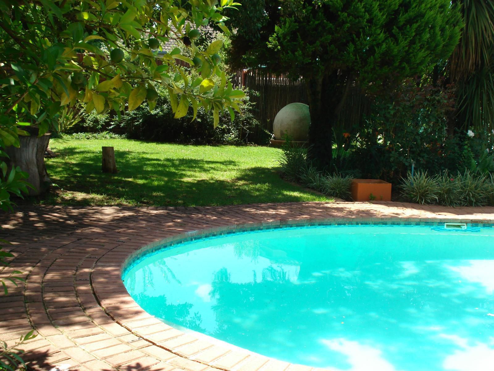 Anne S Place Potchefstroom North West Province South Africa Garden, Nature, Plant, Swimming Pool