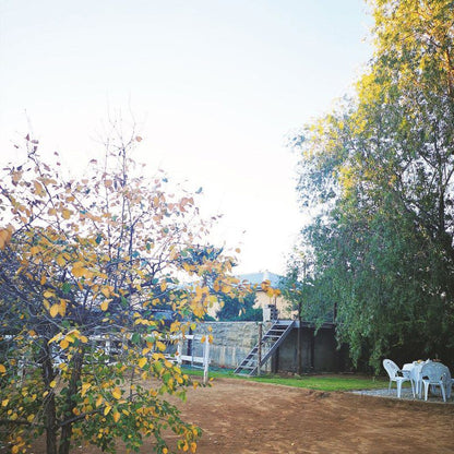 Annie S Inn Williston Northern Cape South Africa Tree, Plant, Nature, Wood