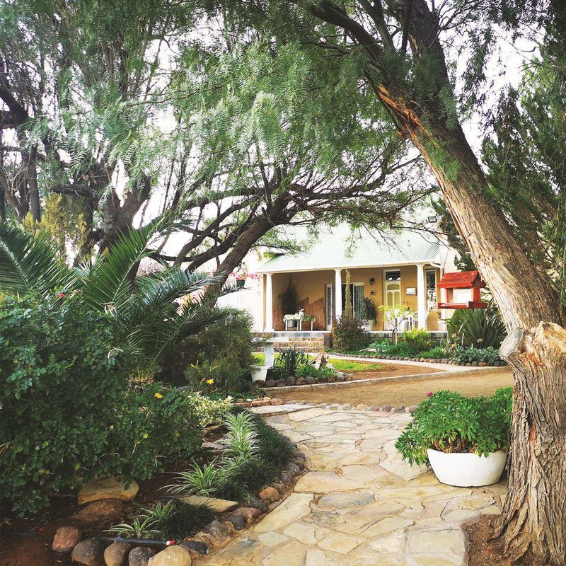 Annie S Inn Williston Northern Cape South Africa House, Building, Architecture, Palm Tree, Plant, Nature, Wood, Garden