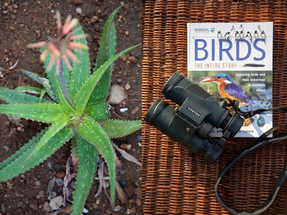 Antares Bush Camp & Umgede Hide, Camera, Technology, Pineapple, Fruit, Food, Plant, Nature