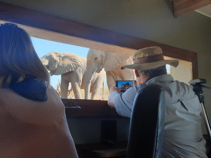 Antares Bush Camp & Umgede Hide, Elephant, Mammal, Animal, Herbivore, Person