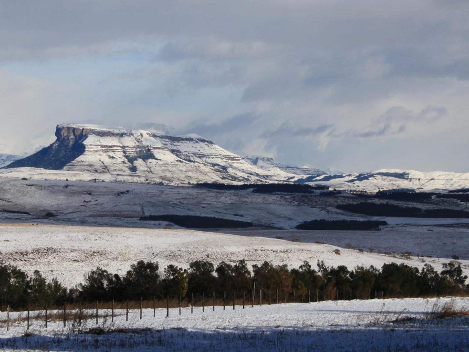 Antbear Lodge, Nature, Winter Landscape, Snow, Winter