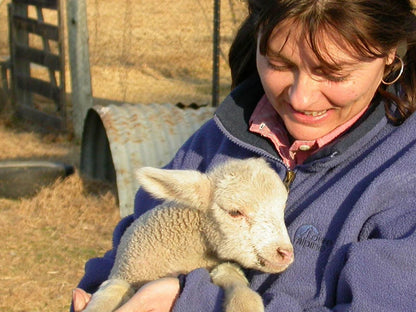 Antbear Lodge, Face, Person, One Face, Portrait, Sheep, Mammal, Animal, Agriculture, Farm Animal, Herbivore, Frontal Face, Adult, Eyes Closed, Smile