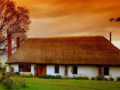 Antbear Lodge, Garden View Suite, Colorful, Barn, Building, Architecture, Agriculture, Wood