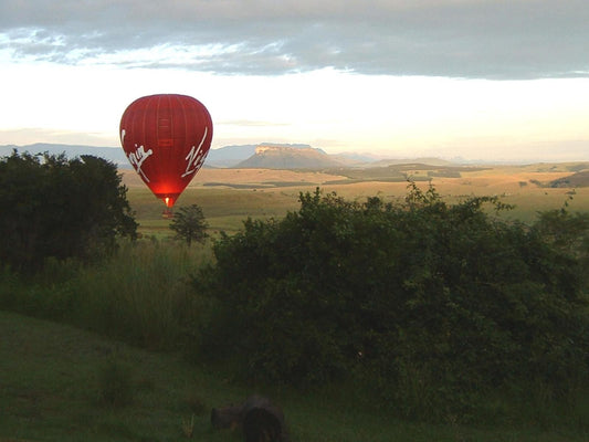 Antbear Lodge, Garden View Suite, Aircraft, Vehicle, Hot Air Balloon, Sky, Nature