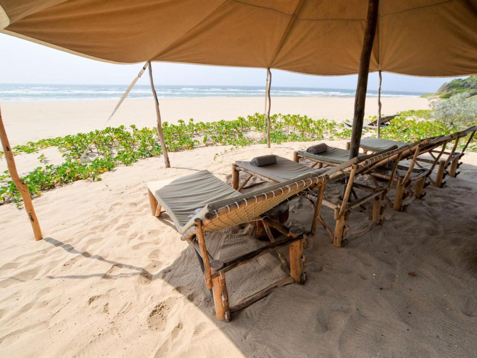 Anvil Bay, Beach, Nature, Sand, Umbrella