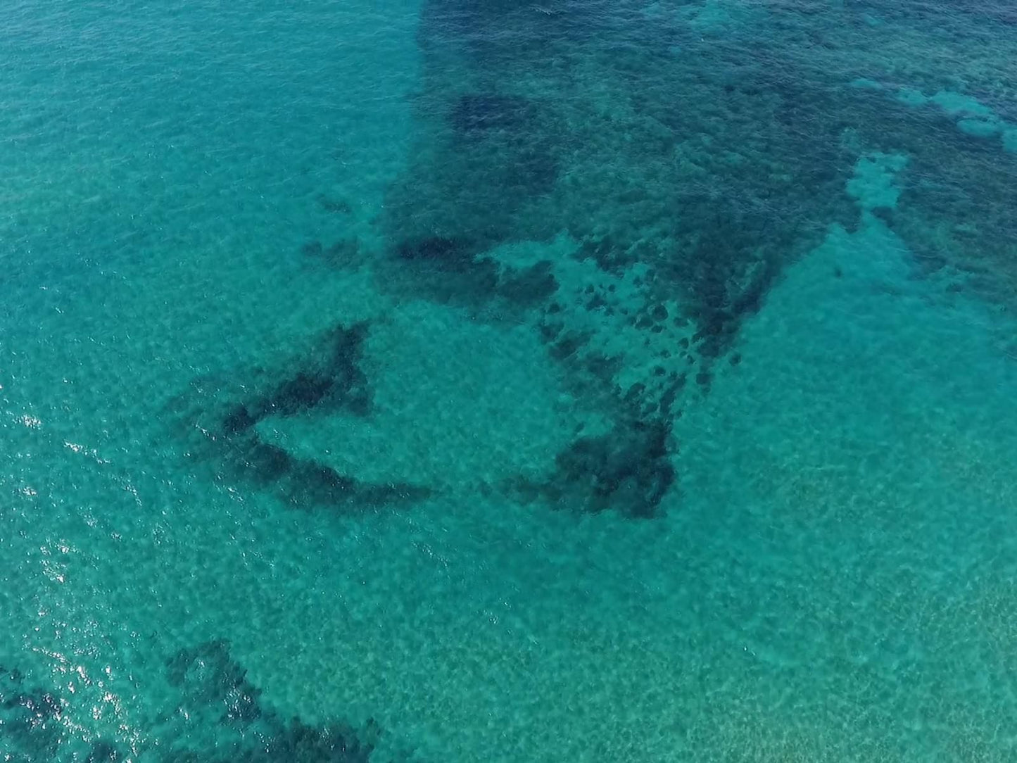 Anvil Bay, Honeymoon Suite, Colorful, Reef, Nature