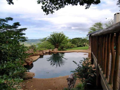 Anvil Stud Chalets Alverstone Durban Kwazulu Natal South Africa Garden, Nature, Plant, Swimming Pool