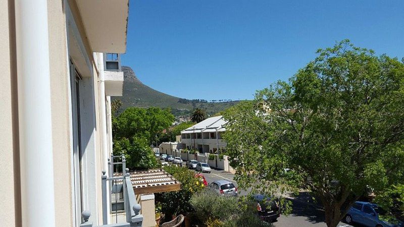 Apartment 37 Sutton Place Vredehoek Cape Town Western Cape South Africa Palm Tree, Plant, Nature, Wood