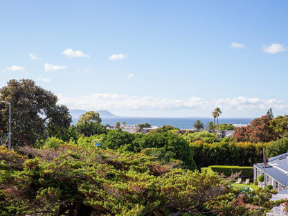 74 On Marine Apartment 102 Hermanus Western Cape South Africa Complementary Colors, Palm Tree, Plant, Nature, Wood, Garden