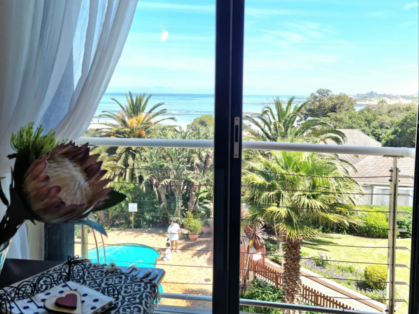 Apartment18Lifestyle Gordons Bay Western Cape South Africa Complementary Colors, Beach, Nature, Sand, Palm Tree, Plant, Wood