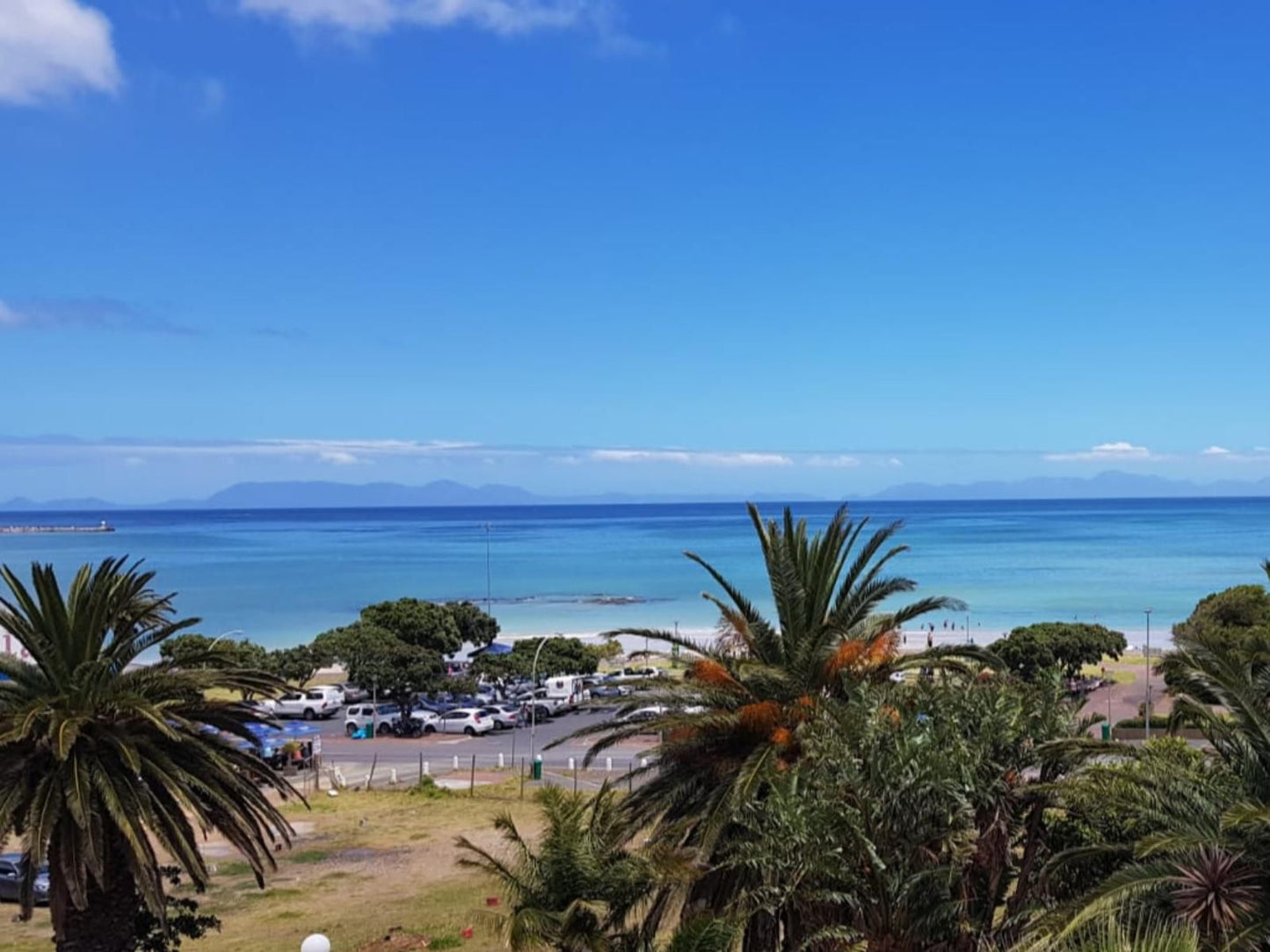 Apartment18Lifestyle Gordons Bay Western Cape South Africa Beach, Nature, Sand, Island, Palm Tree, Plant, Wood