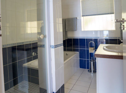 Apartment Ocean View Drive Sea Point Cape Town Western Cape South Africa Bathroom
