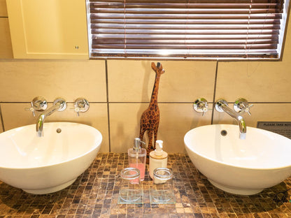 Apollis Cottage Concordia Northern Cape South Africa Giraffe, Mammal, Animal, Herbivore, Bathroom