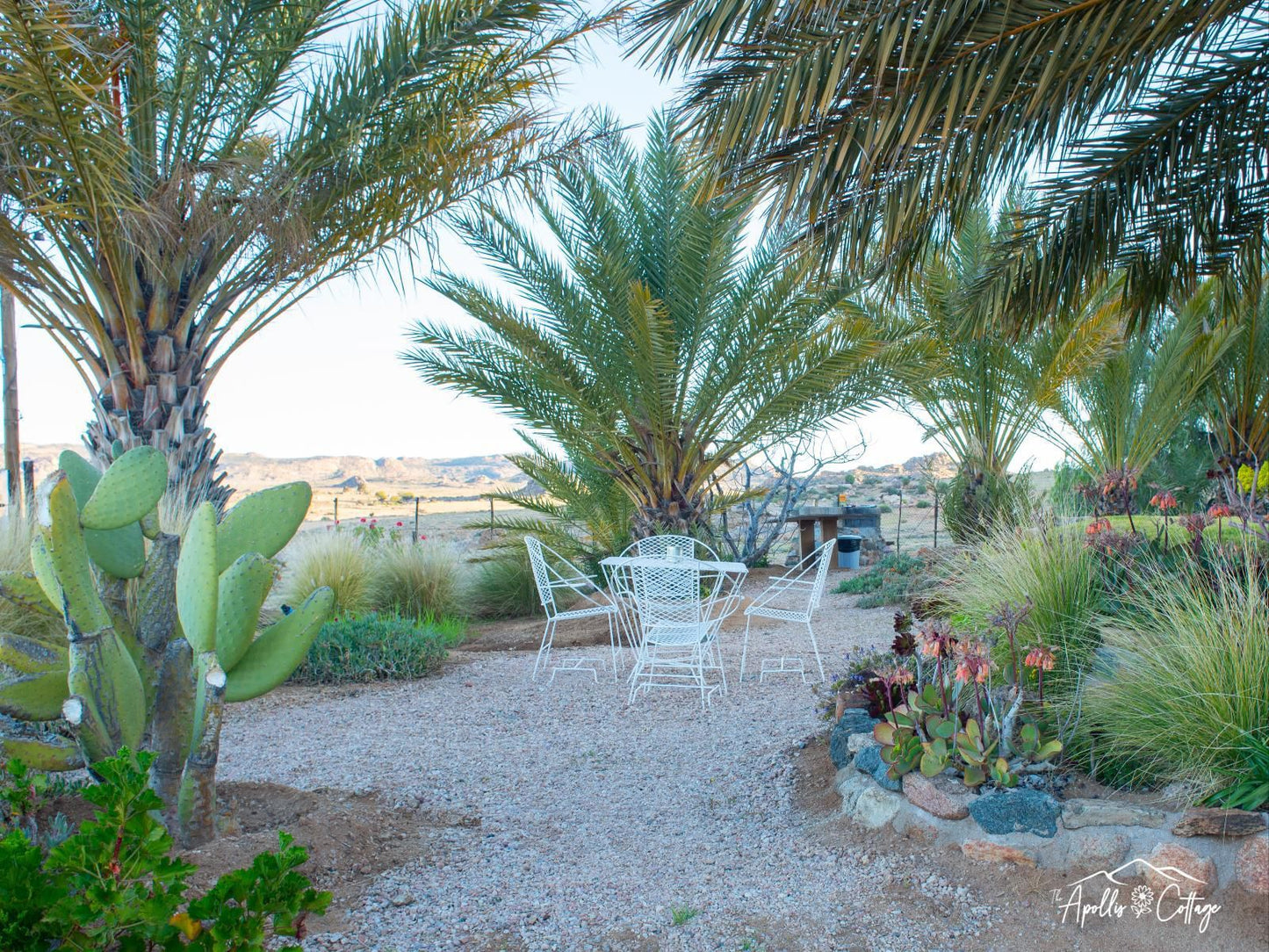 Apollis Cottage Concordia Northern Cape South Africa Palm Tree, Plant, Nature, Wood, Desert, Sand