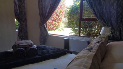 Apollo Airbandb Vredenburg Western Cape South Africa Palm Tree, Plant, Nature, Wood, Bedroom