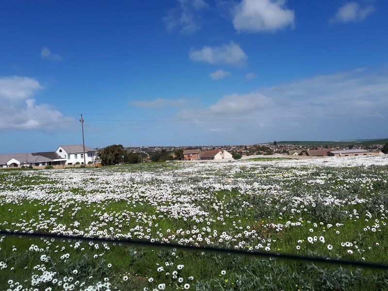 Apollo Airbandb Vredenburg Western Cape South Africa Field, Nature, Agriculture, Lowland