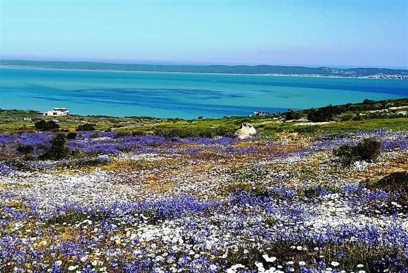 Apollo Airbandb Vredenburg Western Cape South Africa Beach, Nature, Sand, Plant