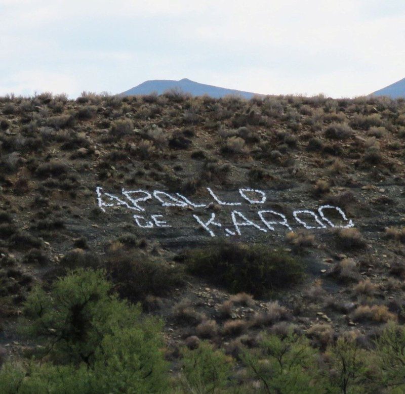 Apollo De Karoo Sutherland Northern Cape South Africa Cactus, Plant, Nature, Mountain, Sign, Text, Desert, Sand