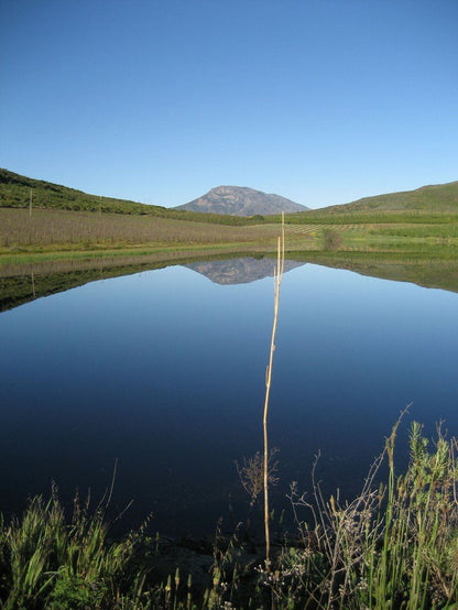 Appelhuis Barrydale Western Cape South Africa Mountain, Nature, Highland